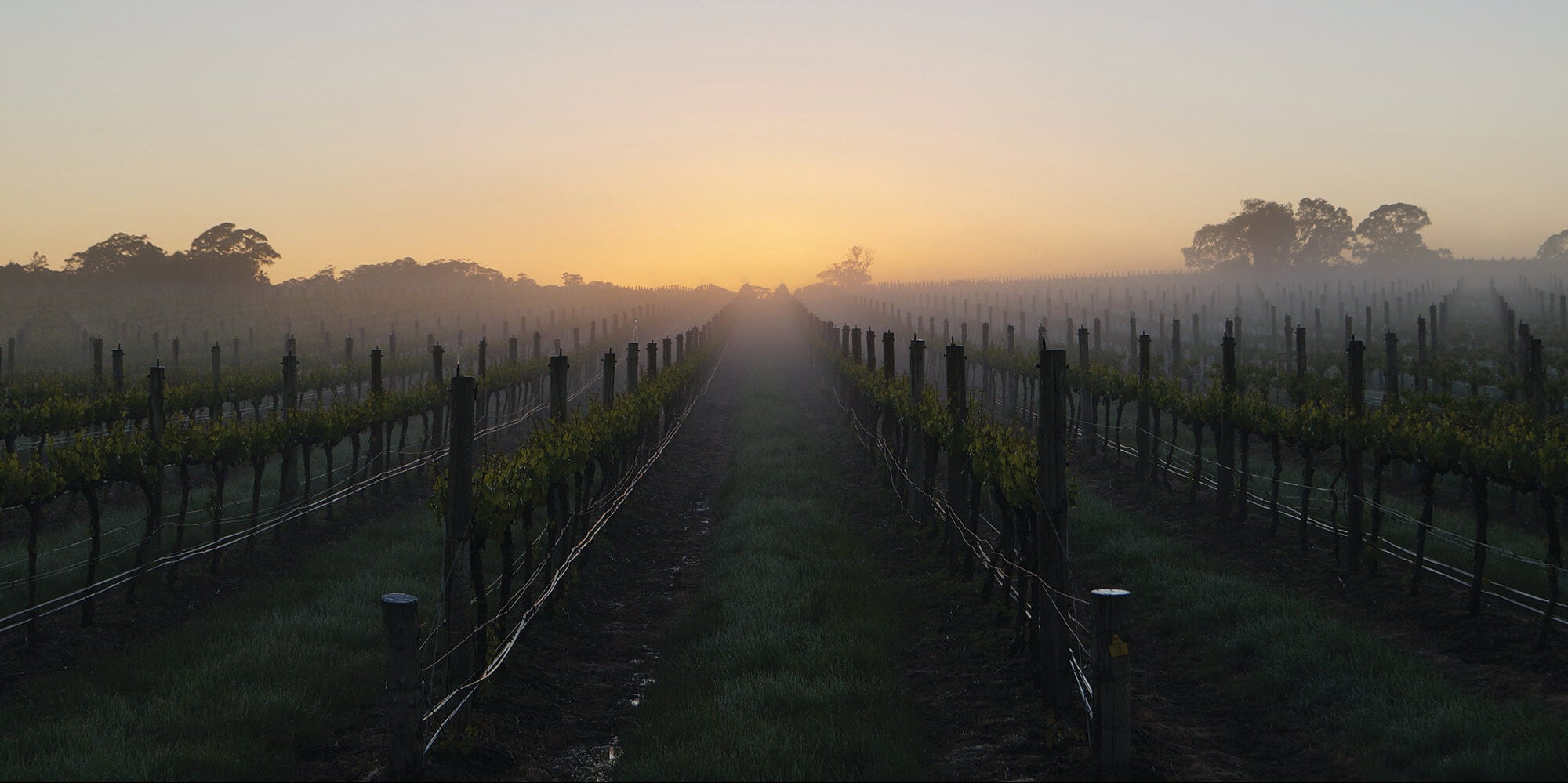 slider image slider_item_WhJHA3